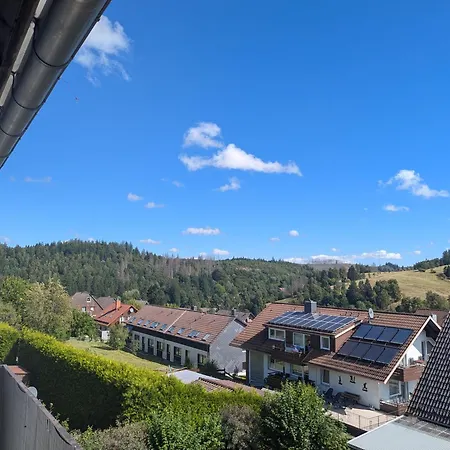 Apartamento Altenauer Traumsicht Mit Balkon Altenau (Lower-Saxony)
