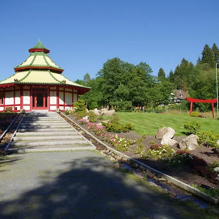Altenauer Traumsicht Mit Balkon * Altenau (Lower-Saxony)
