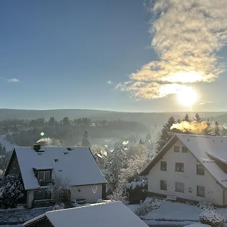 Altenauer Traumsicht Mit Balkon Lägenhet