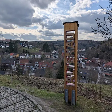 Altenauer Traumsicht Mit Balkon Altenau (Lower-Saxony)