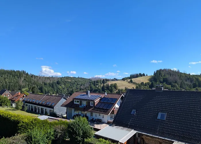 Altenauer Traumsicht Mit Balkon Apartman